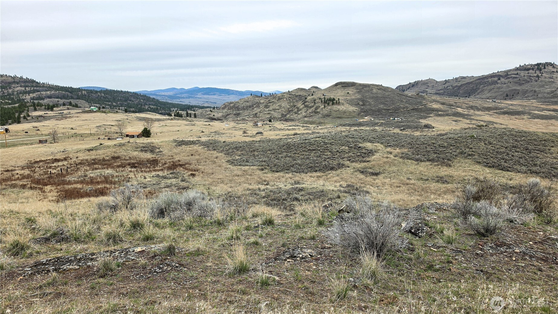 174 Round Up Road Property Photo 15