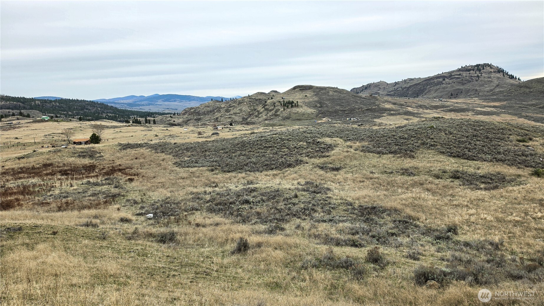 174 Round Up Road Property Photo 17