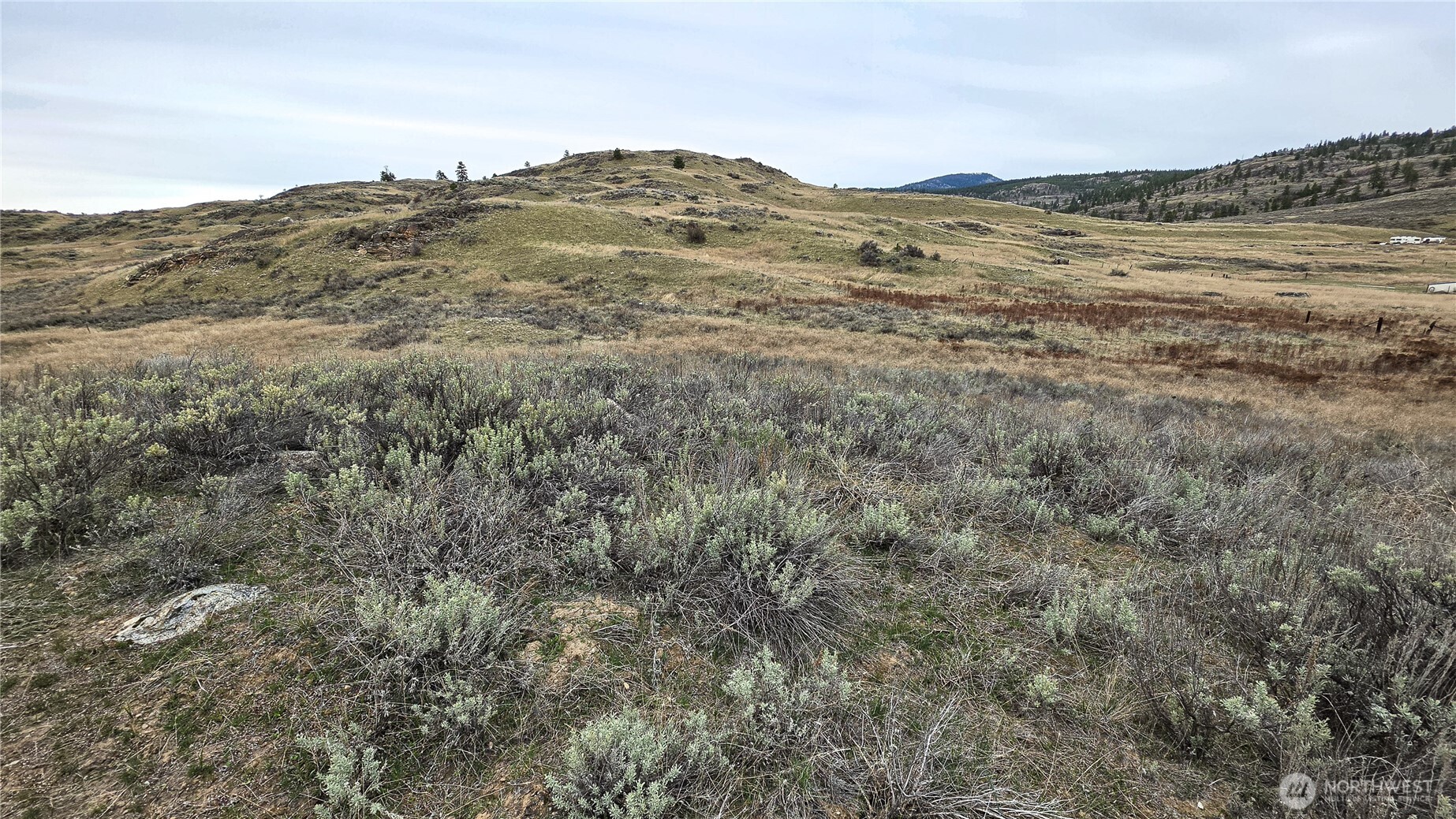 174 Round Up Road Property Photo 20