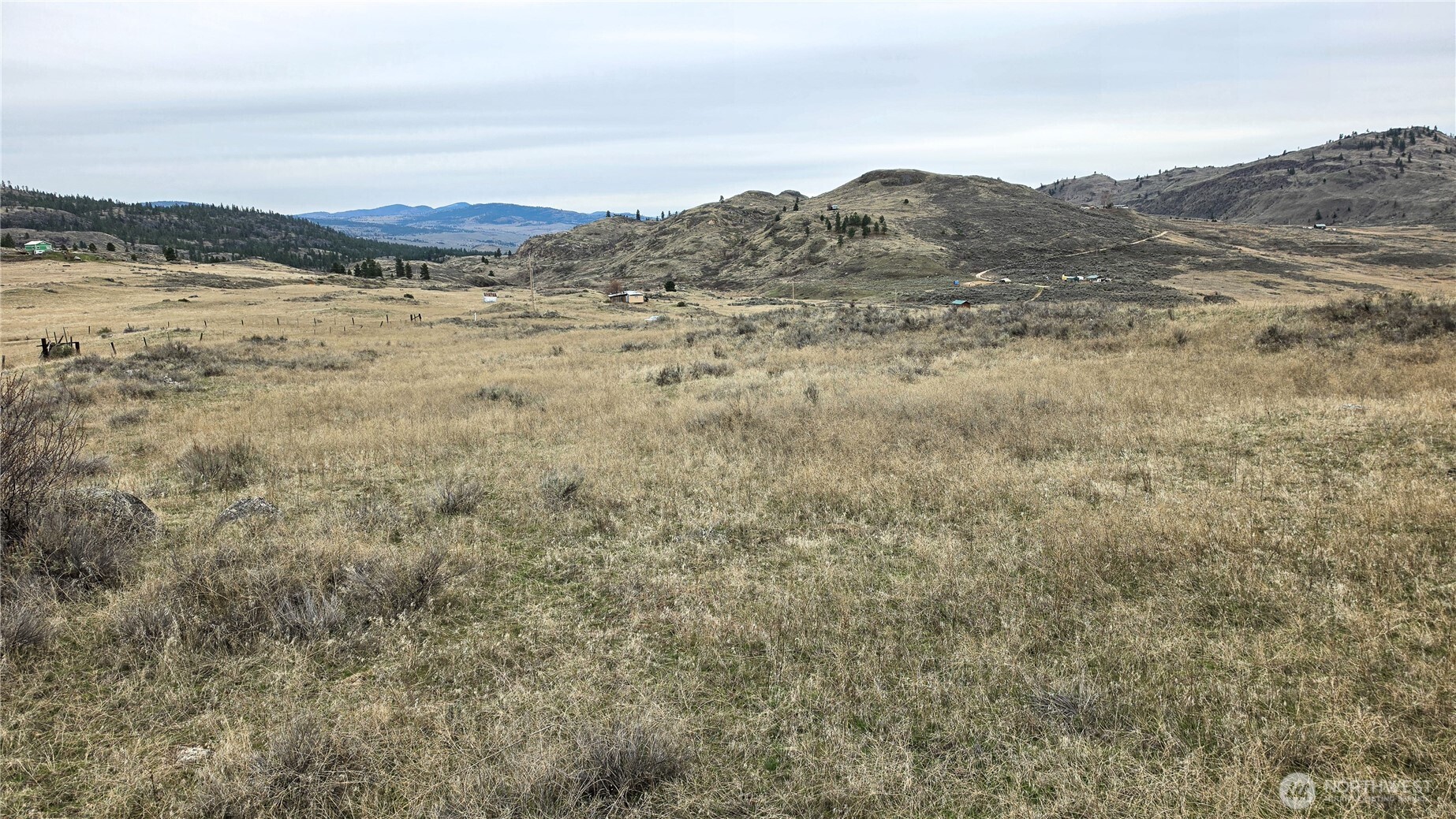 174 Round Up Road Property Photo 22