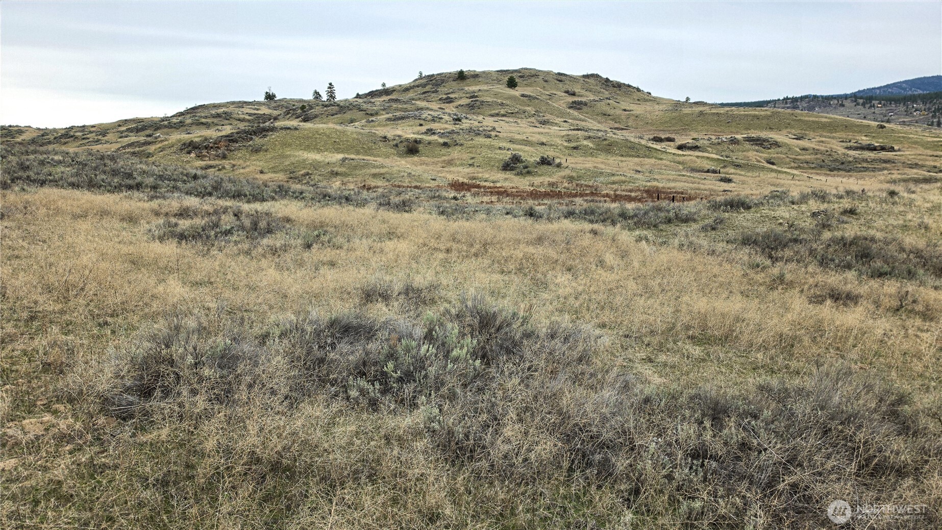 174 Round Up Road Property Photo 23