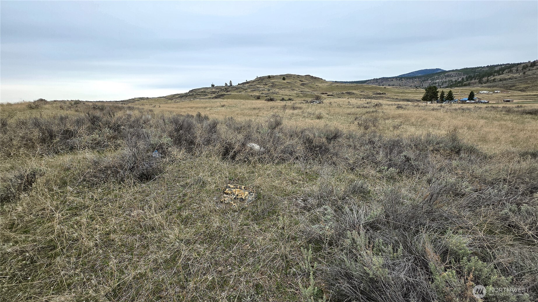 174 Round Up Road Property Photo 25