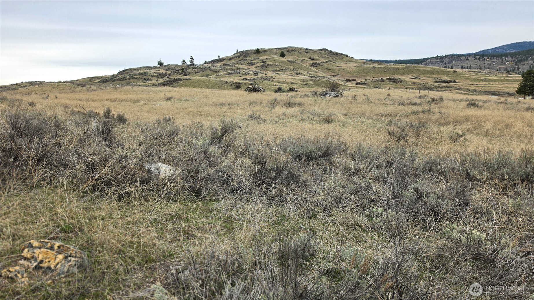 174 Round Up Road Property Photo 27