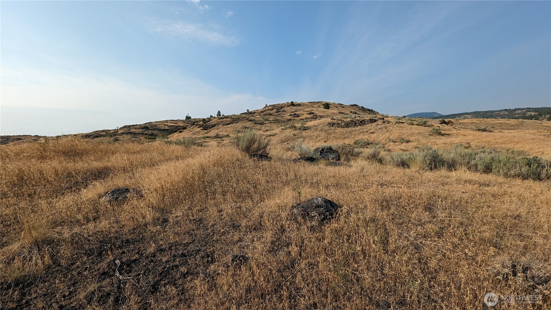 174 Round Up Road Property Photo 31