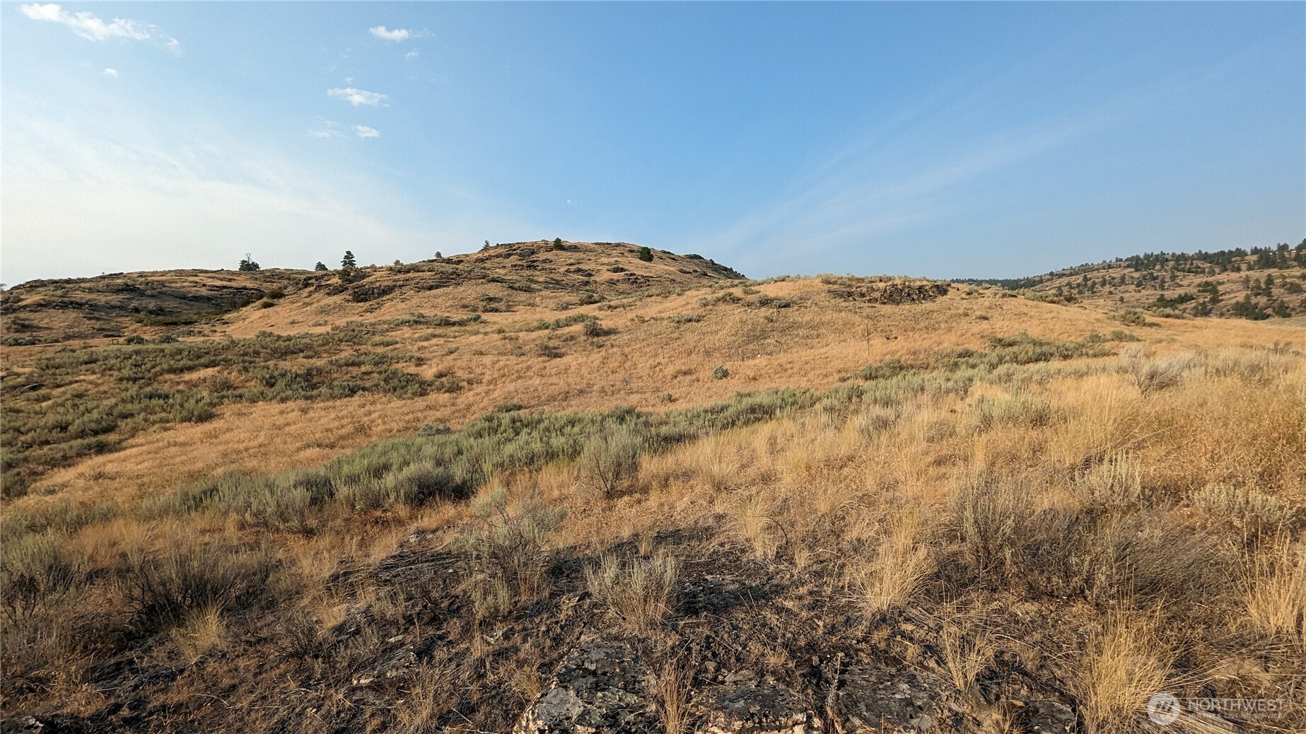 174 Round Up Road Property Photo 33