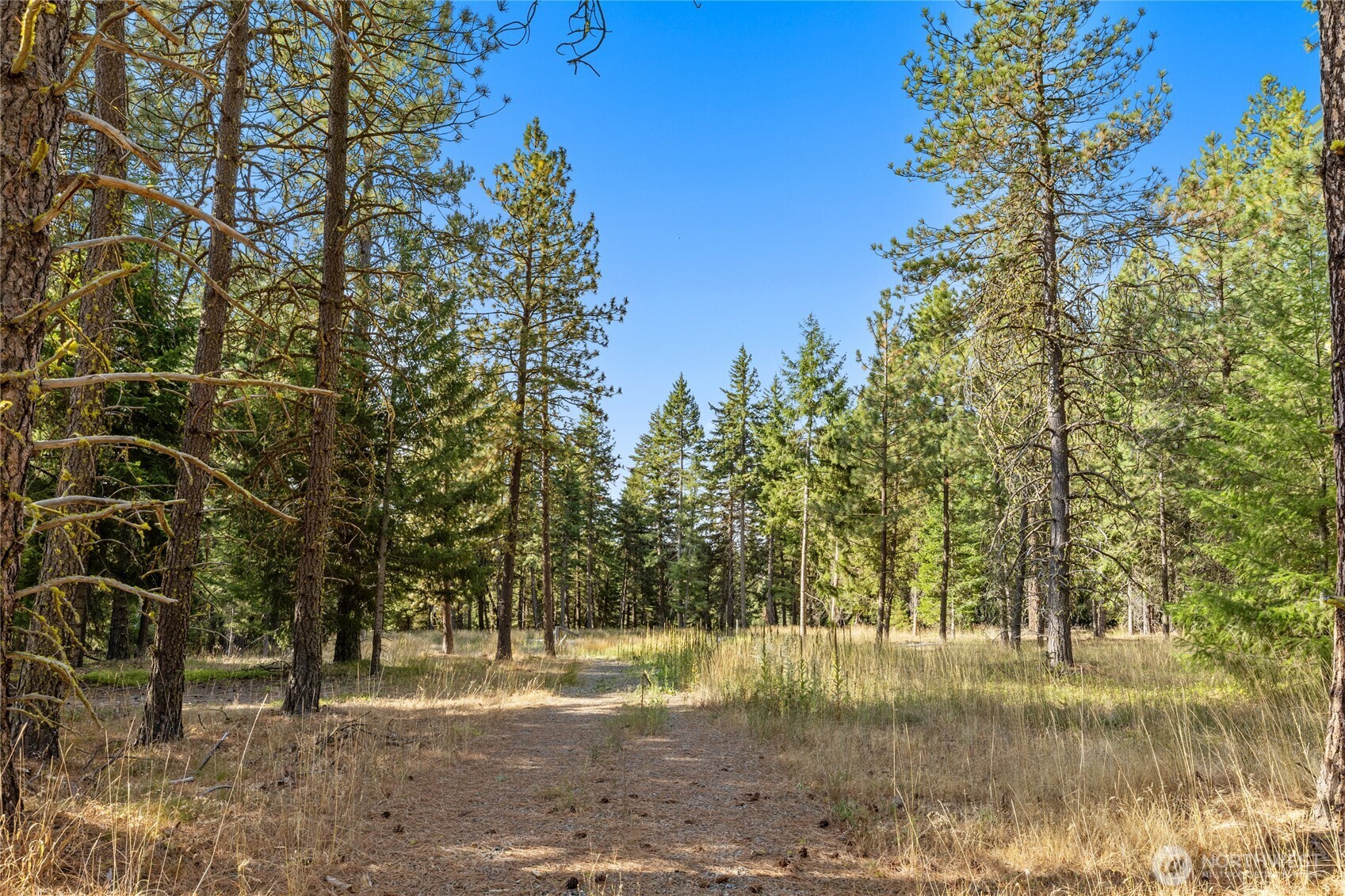 511 Farmhouse Way Property Photo 3
