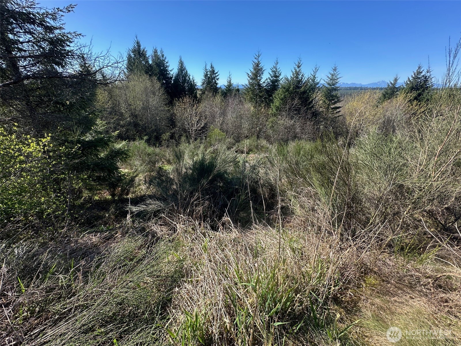 0 Tr 1&2 E Agate Road Property Photo 4
