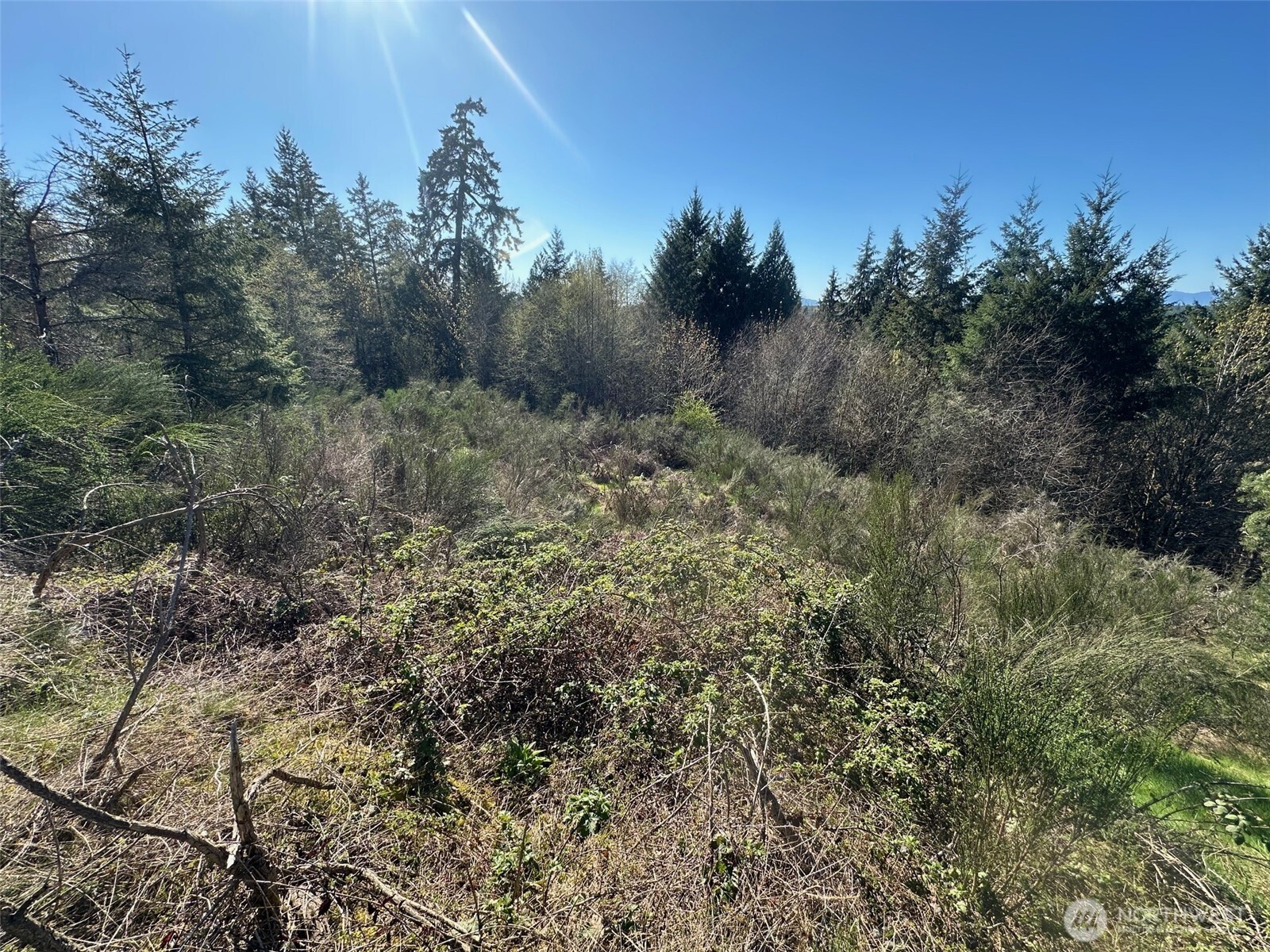 0 Tr 1&2 E Agate Road Property Photo 5