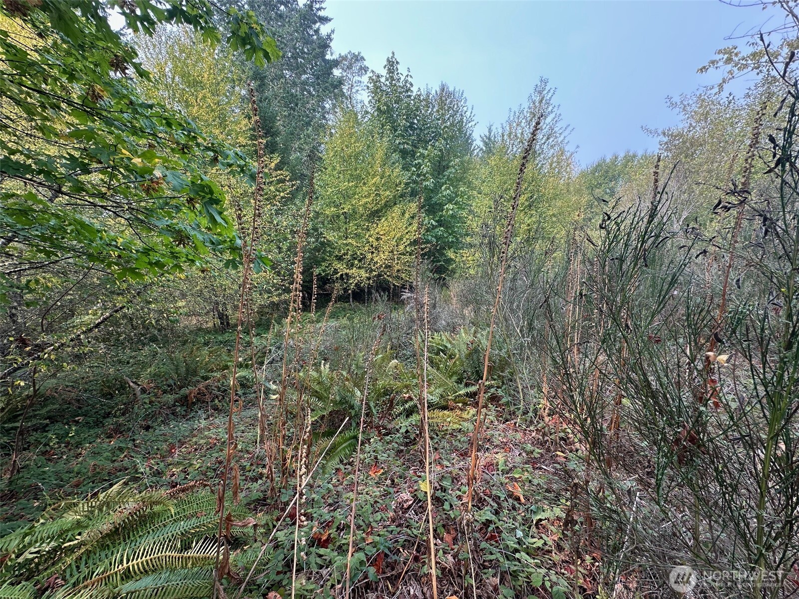 0 Tr 1&2 E Agate Road Property Photo 9