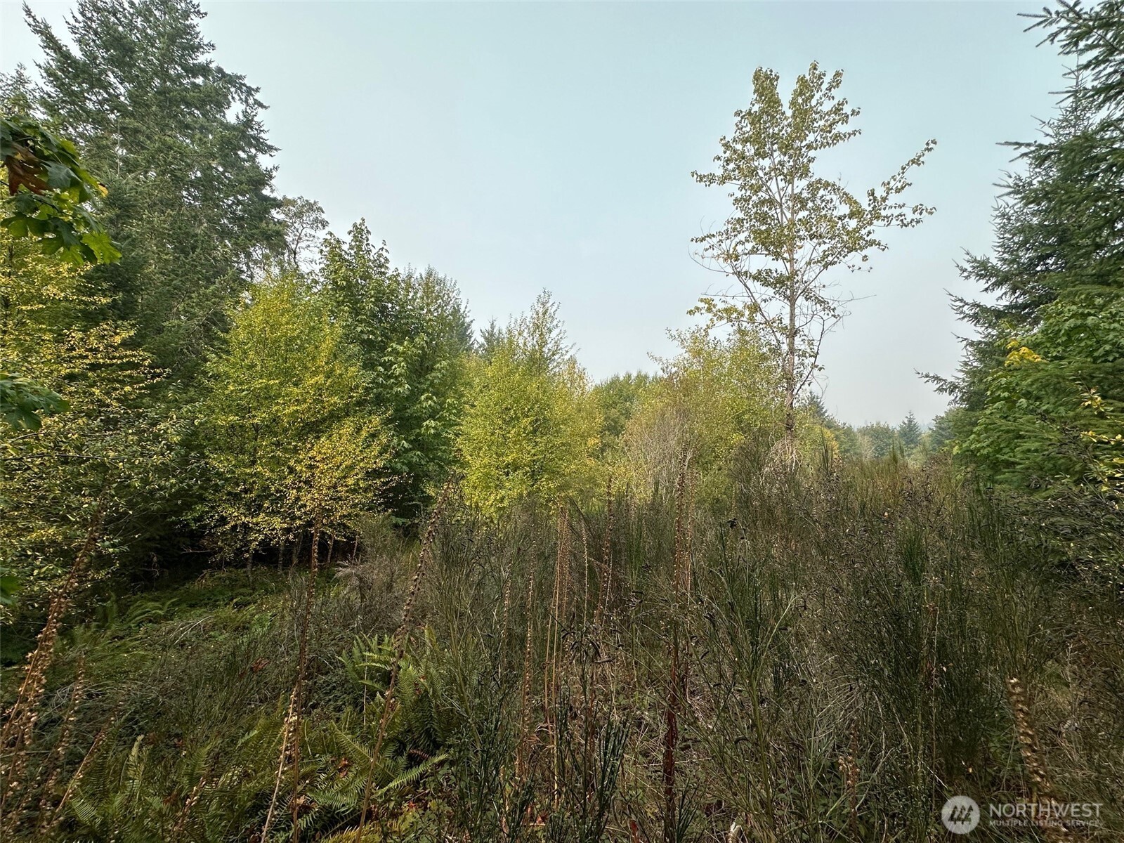 0 Tr 1&2 E Agate Road Property Photo 10