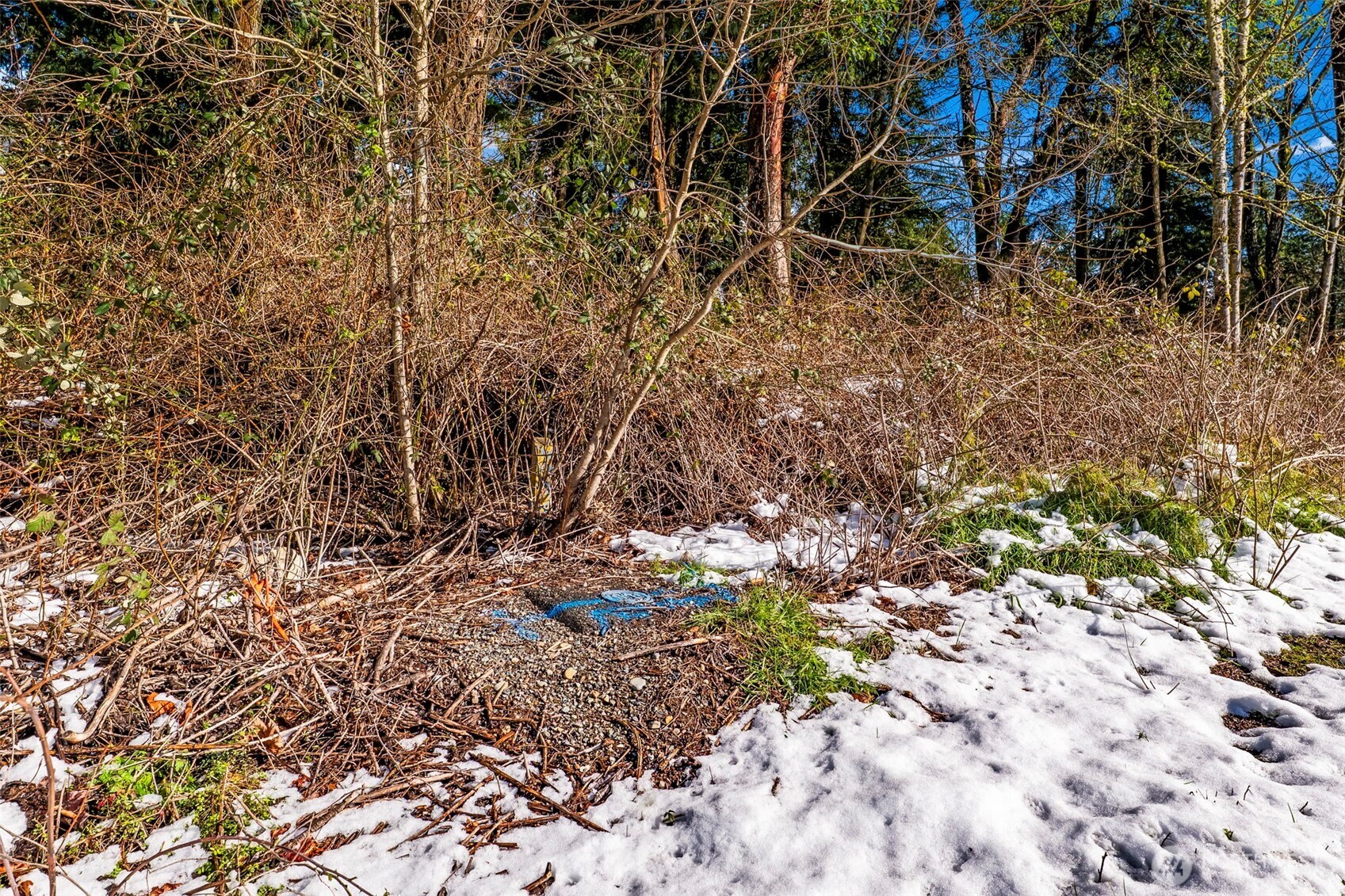 0 Xx 14th Avenue Property Photo 19