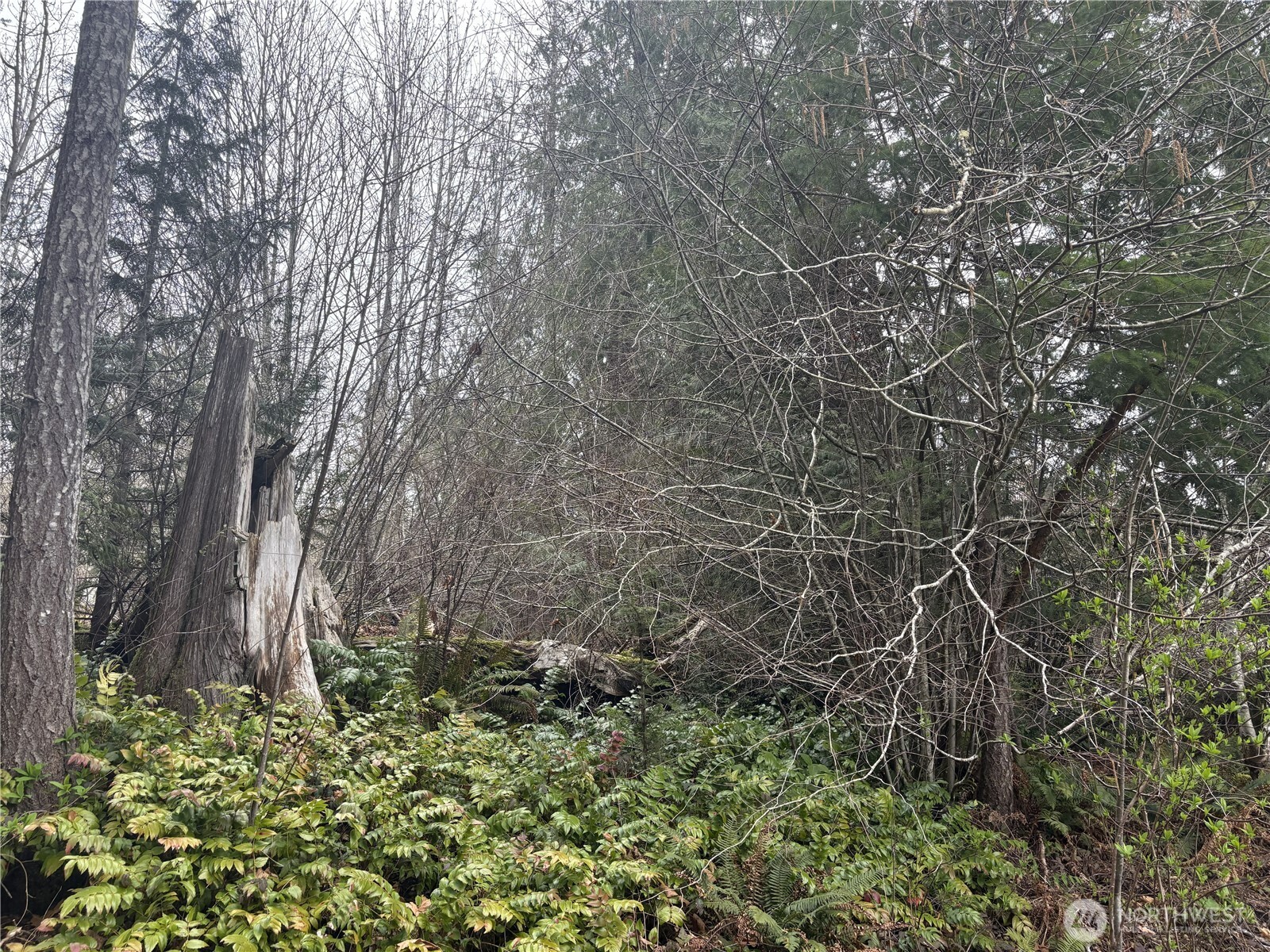 0 Se Fuchsia Avenue Property Photo 11