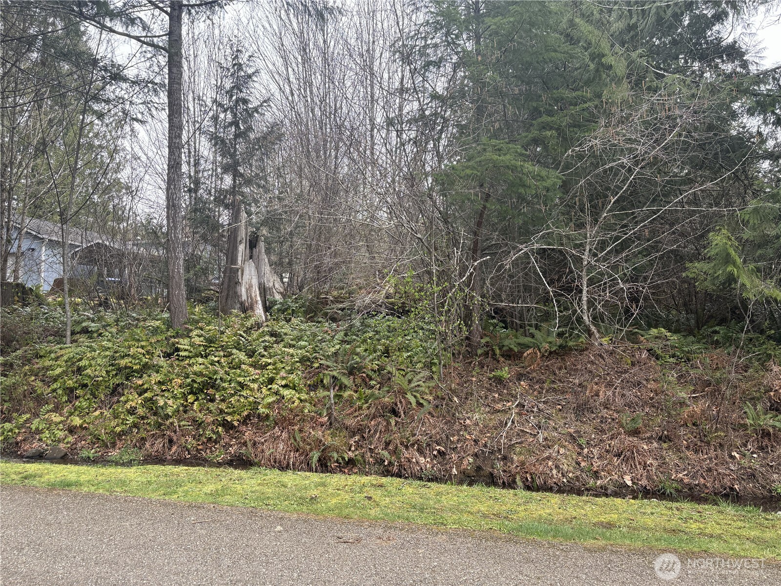 0 Se Fuchsia Avenue Property Photo 13