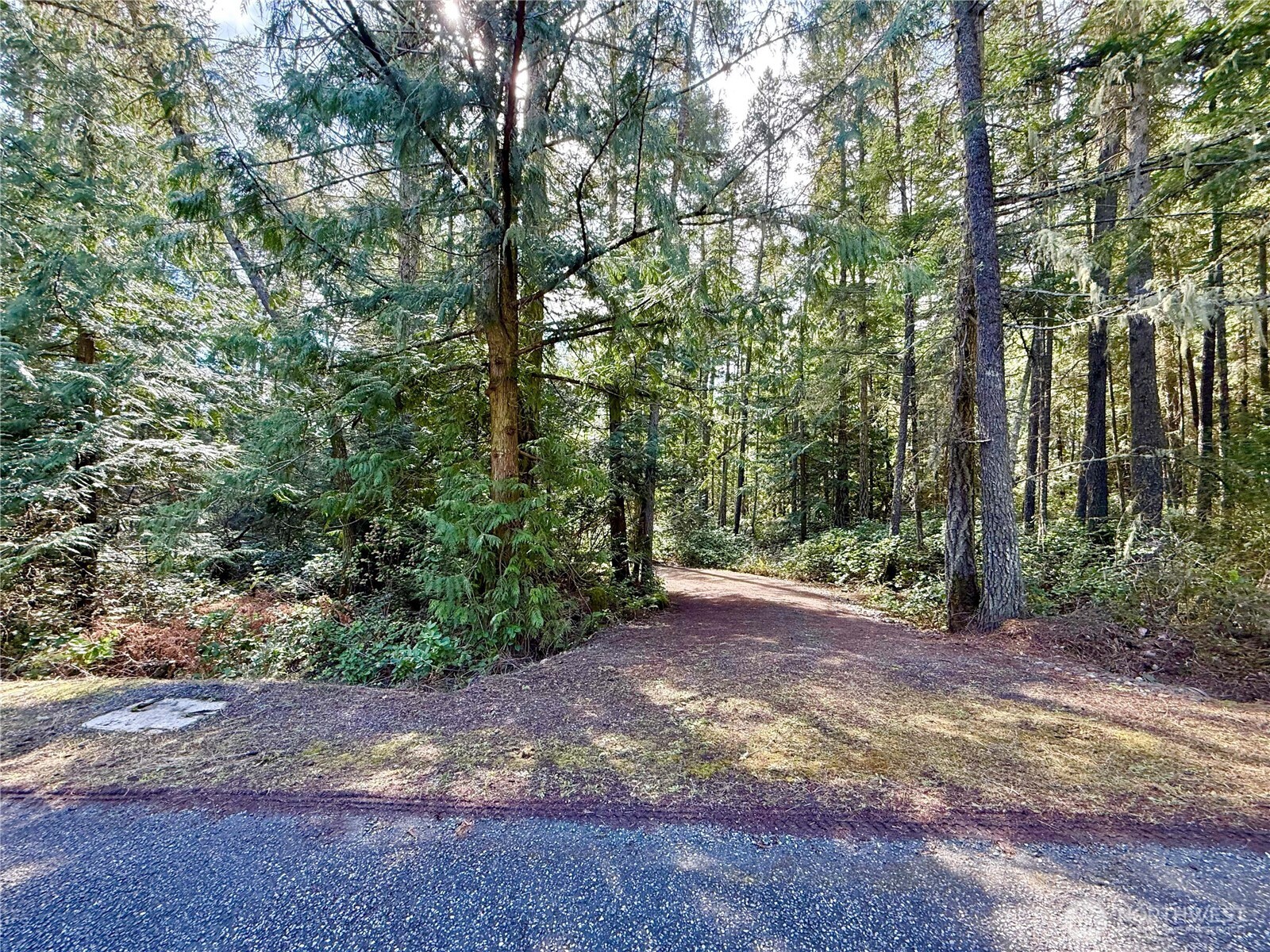 1111 Tarte Road Property Photo 4