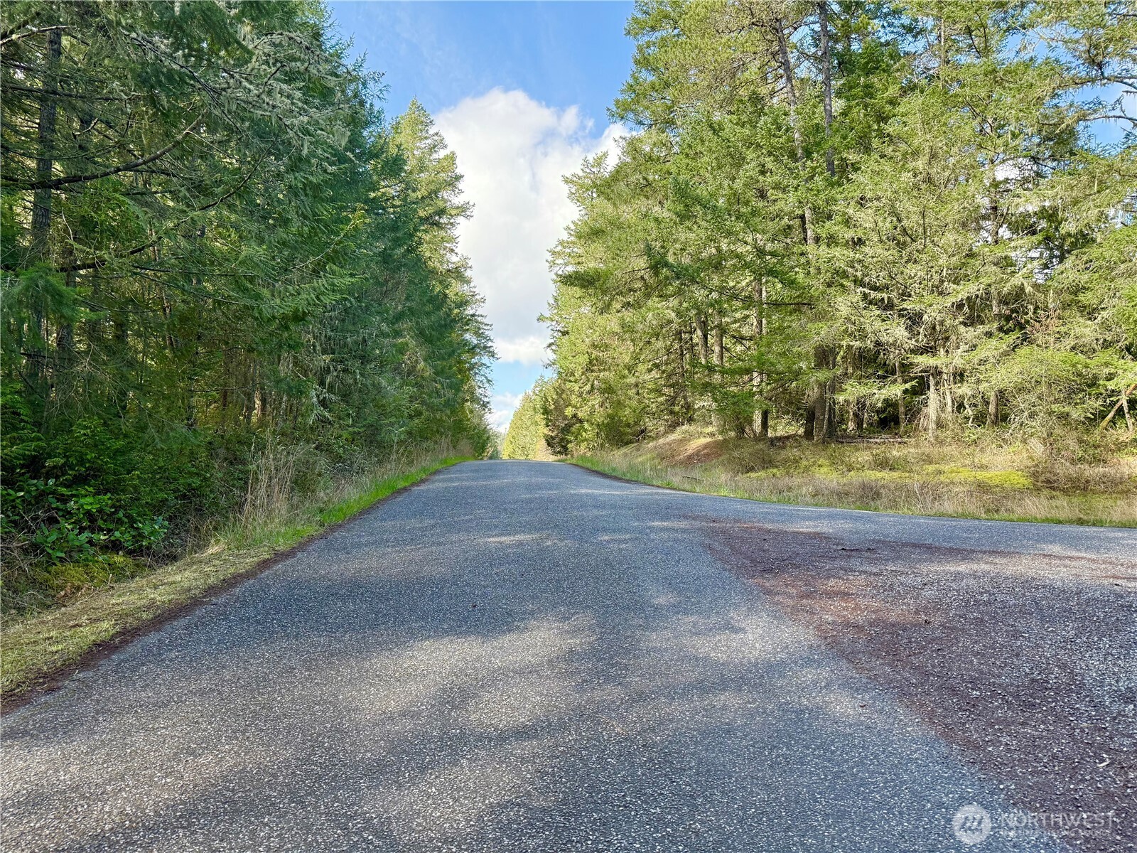 1111 Tarte Road Property Photo 6