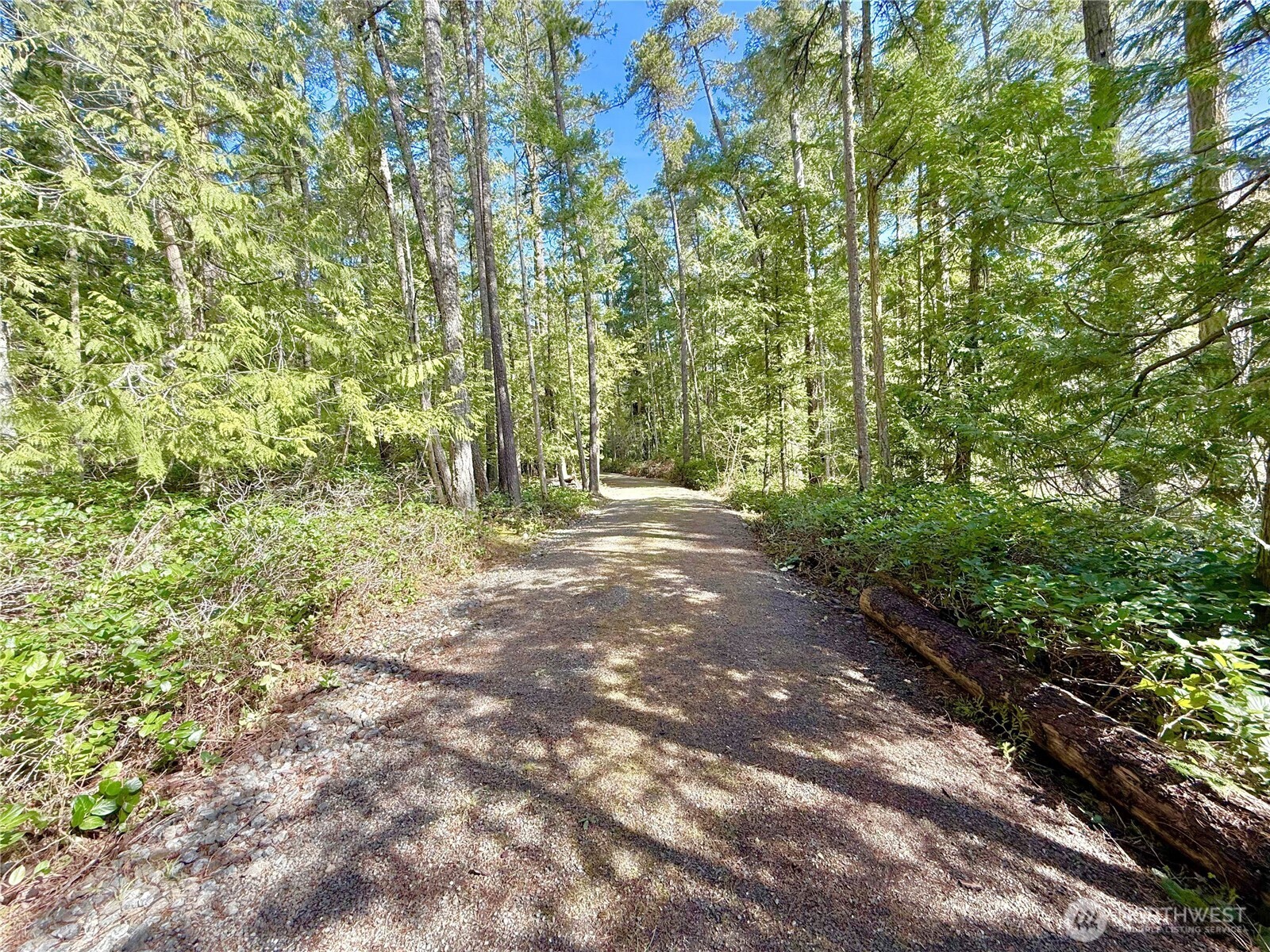 1111 Tarte Road Property Photo 13