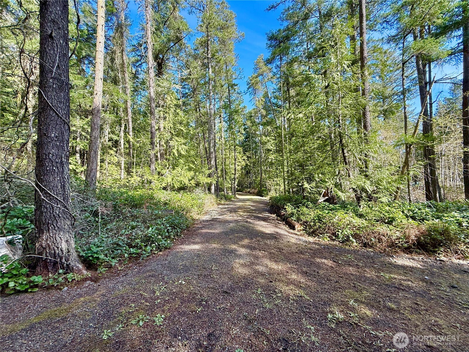 1111 Tarte Road Property Photo 14