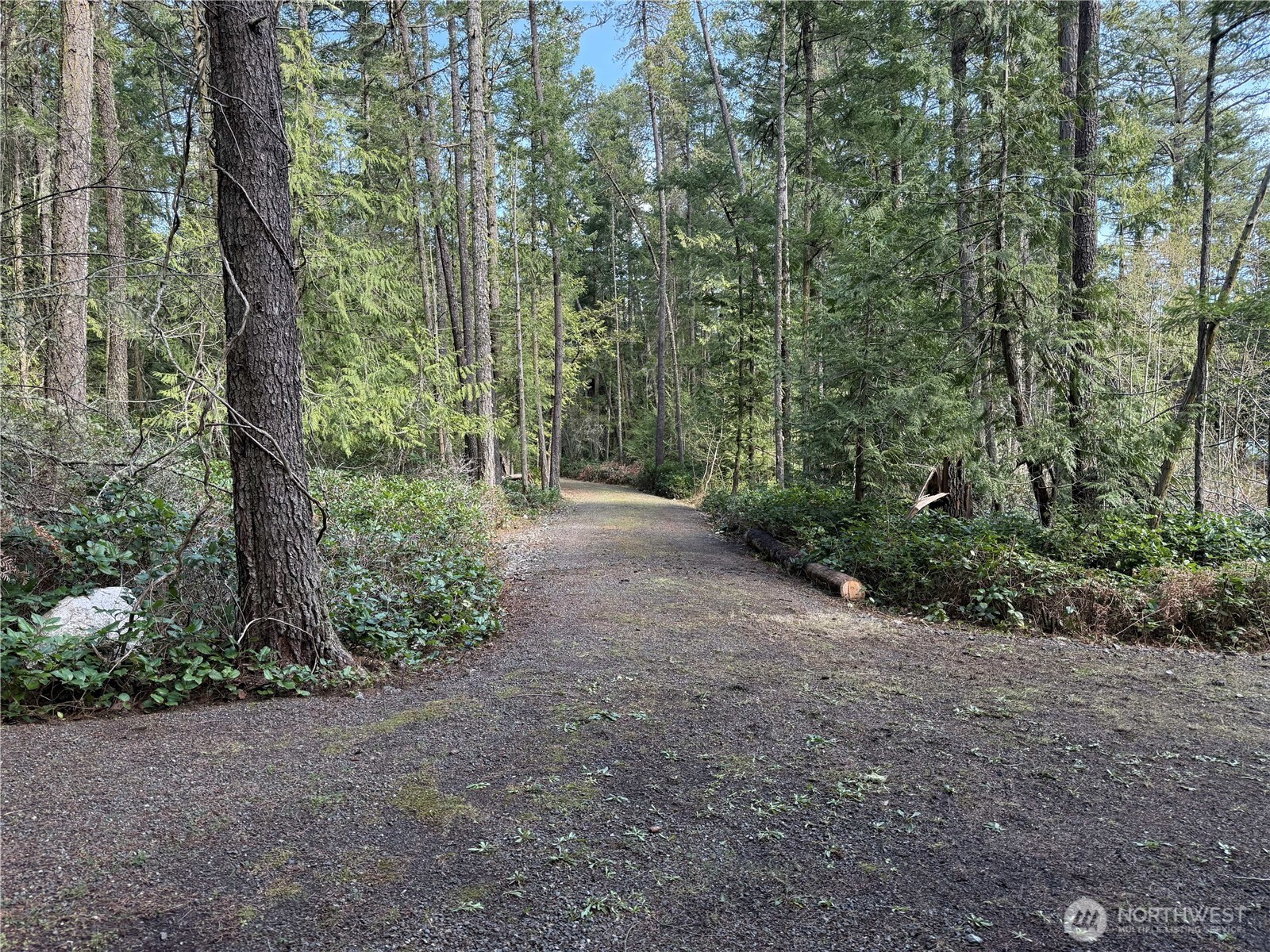 1111 Tarte Road Property Photo 15