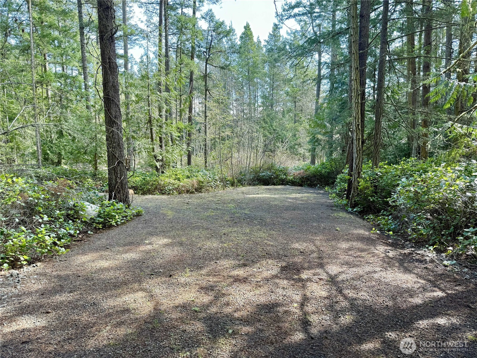 1111 Tarte Road Property Photo 16