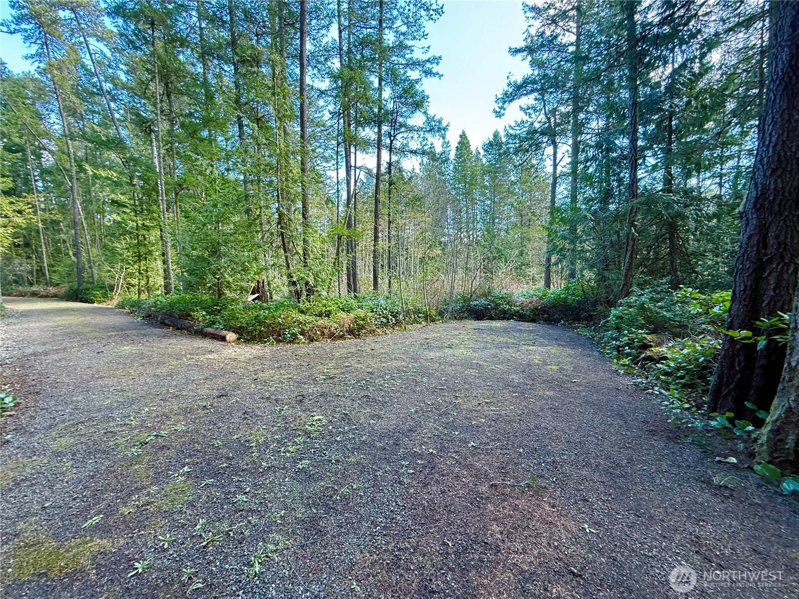 1111 Tarte Road Property Photo 17