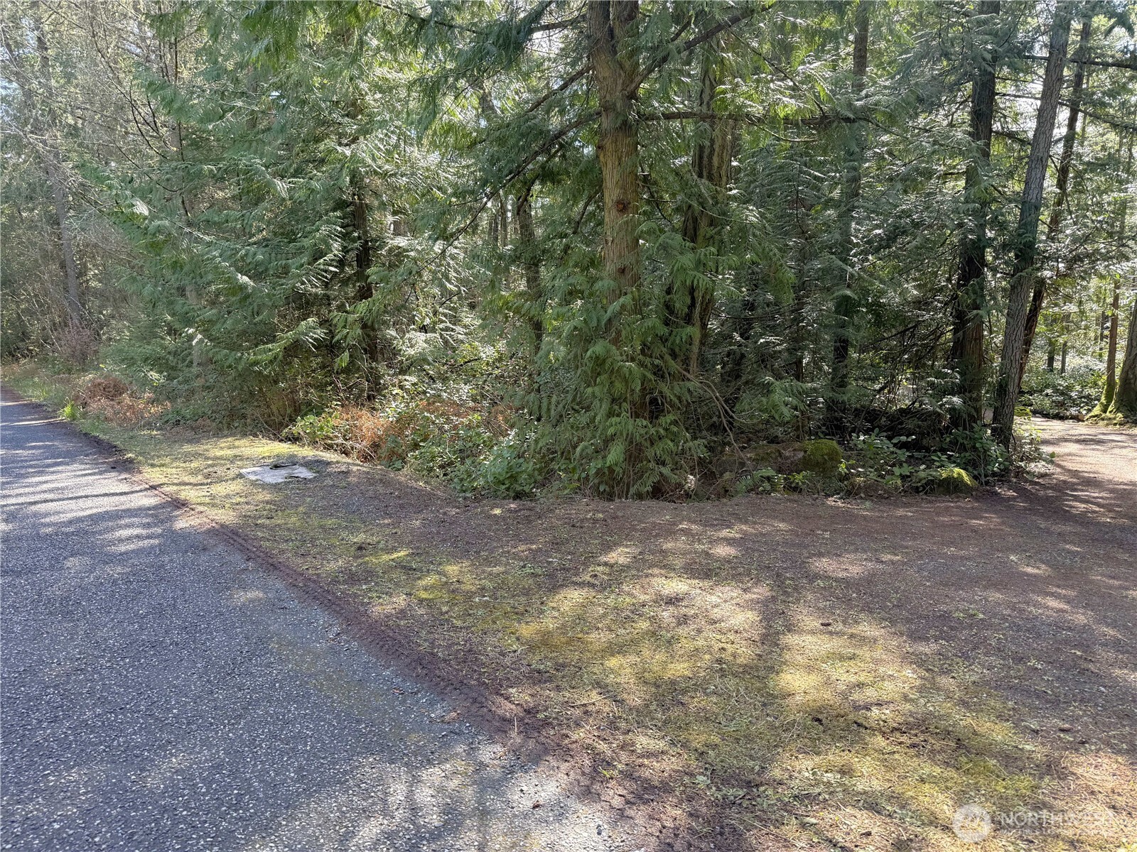 1111 Tarte Road Property Photo 20