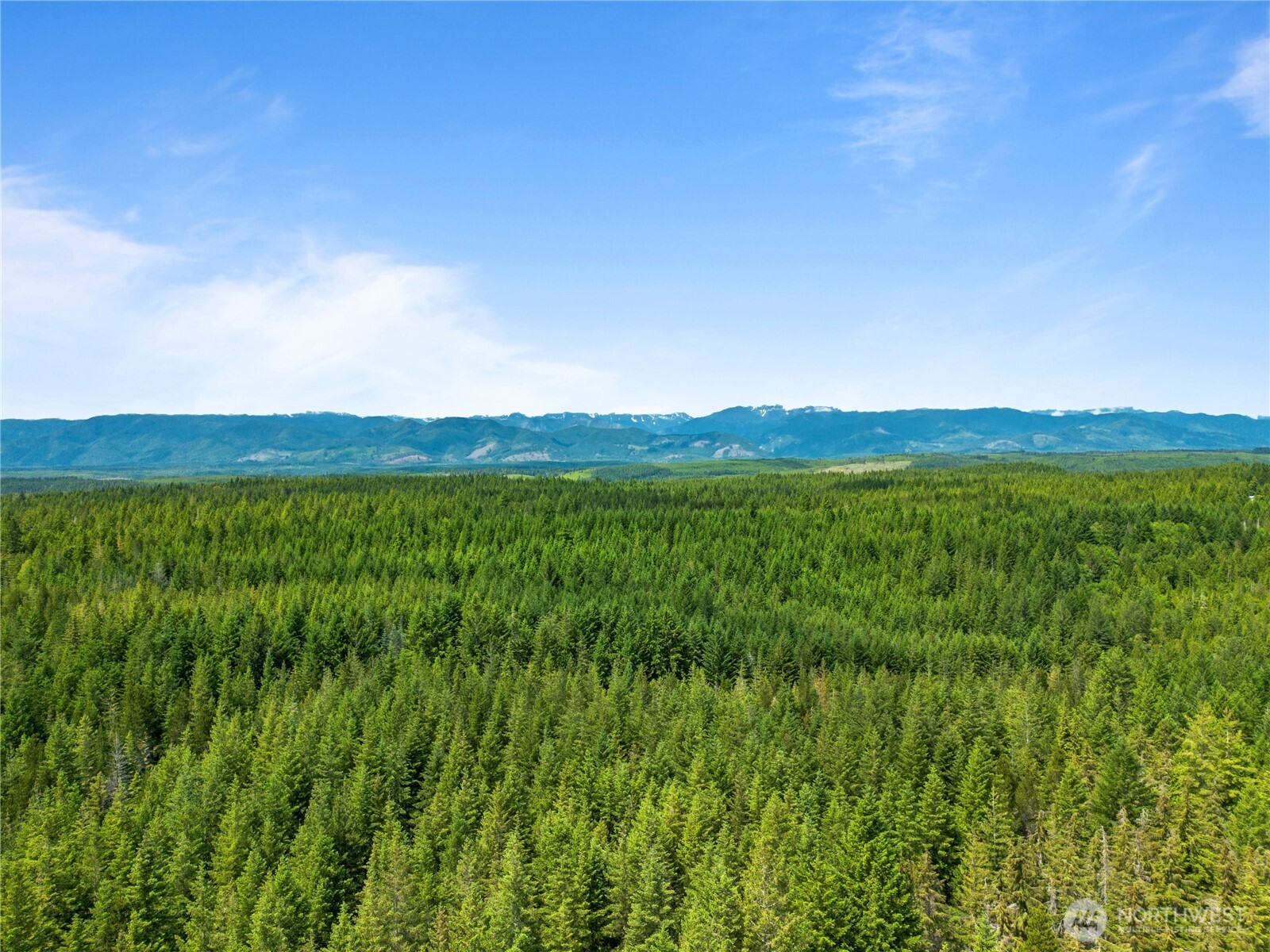 905 Ne Tahuya Blacksmith Road Property Photo 5