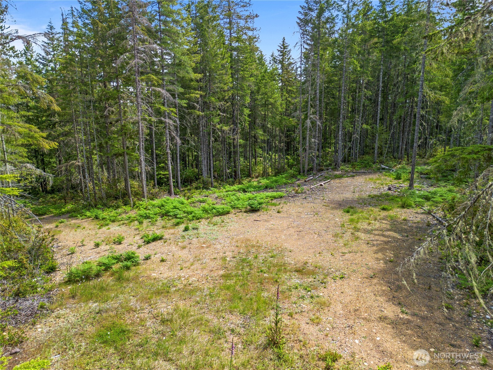 905 Ne Tahuya Blacksmith Road Property Photo 6