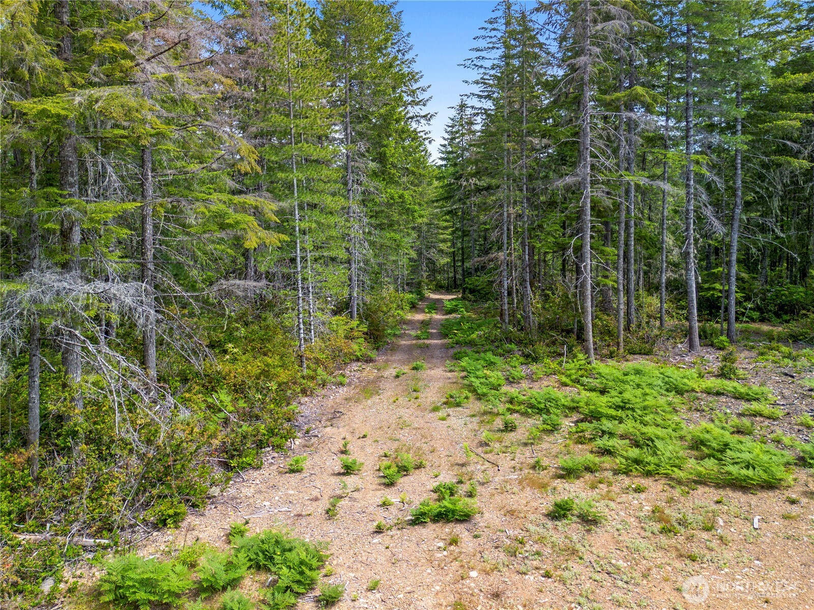 905 Ne Tahuya Blacksmith Road Property Photo 7