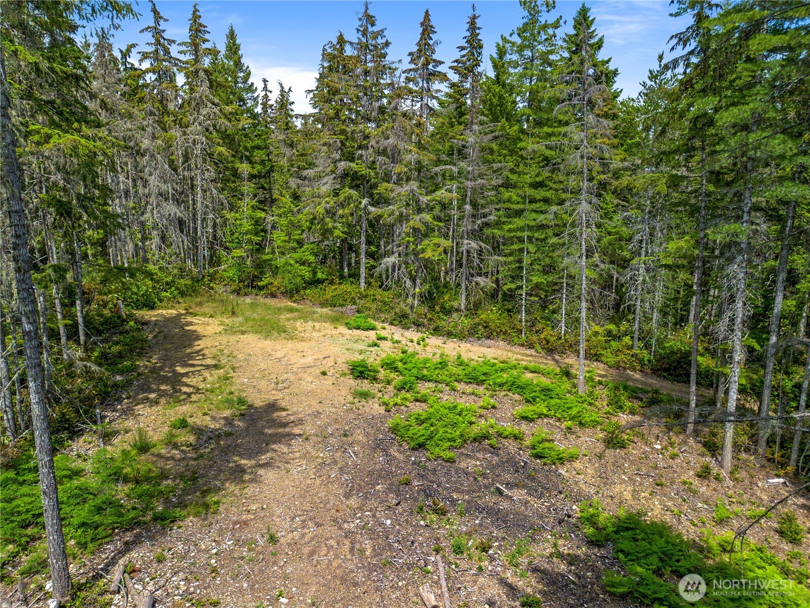 905 Ne Tahuya Blacksmith Road Property Photo 8