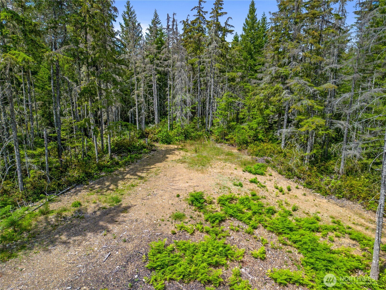 905 Ne Tahuya Blacksmith Road Property Photo 9