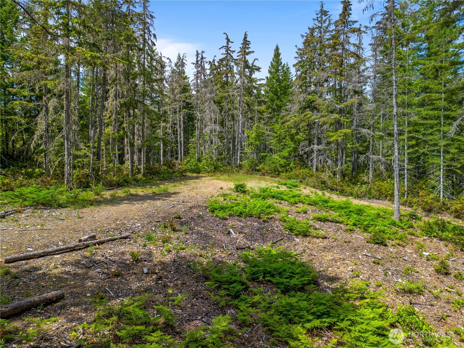 905 Ne Tahuya Blacksmith Road Property Photo 10