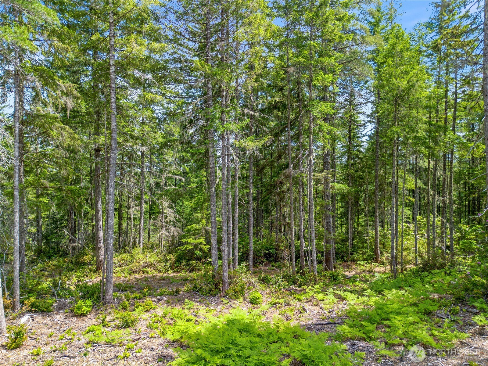 905 Ne Tahuya Blacksmith Road Property Photo 11