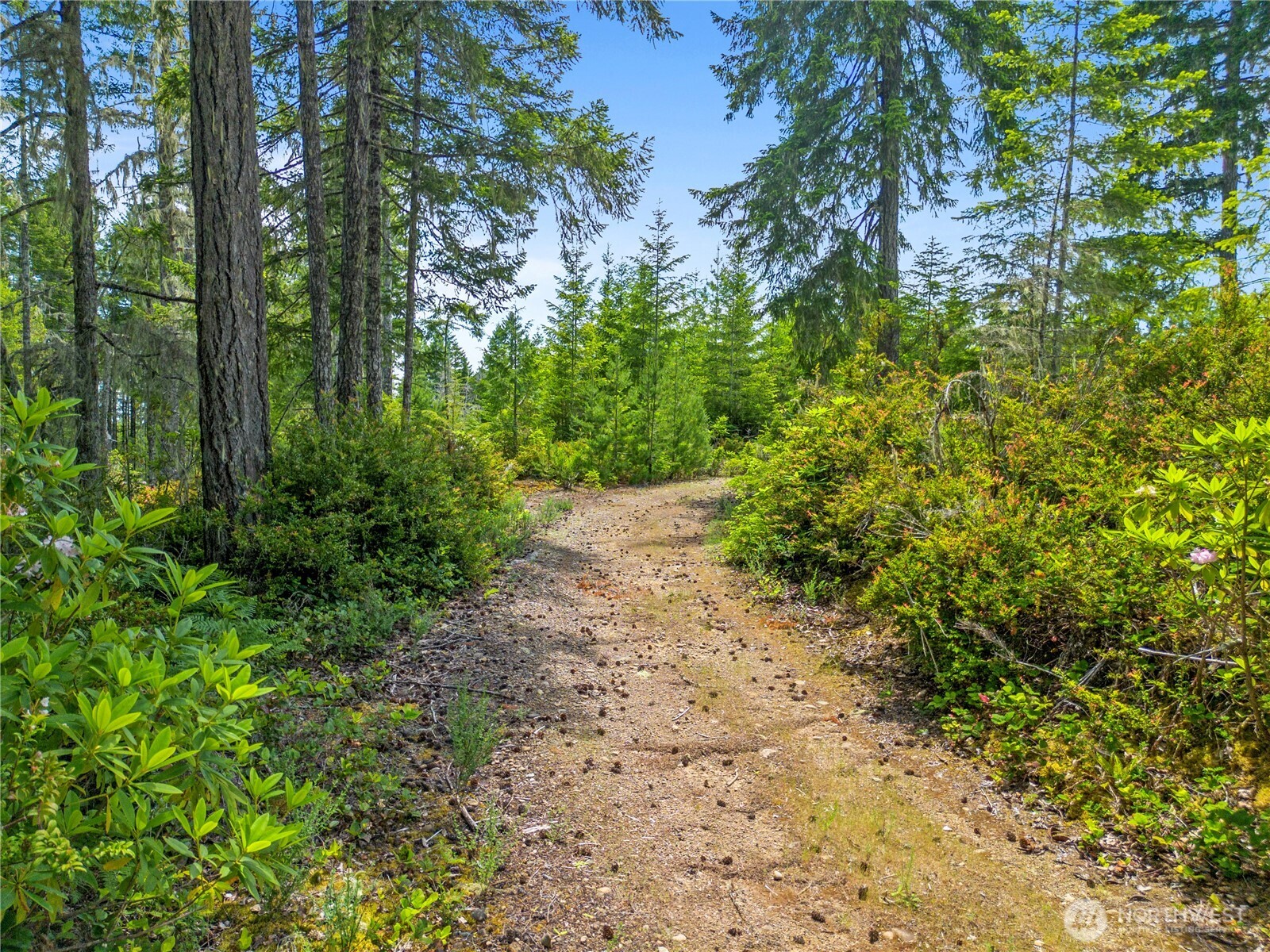 905 Ne Tahuya Blacksmith Road Property Photo 12