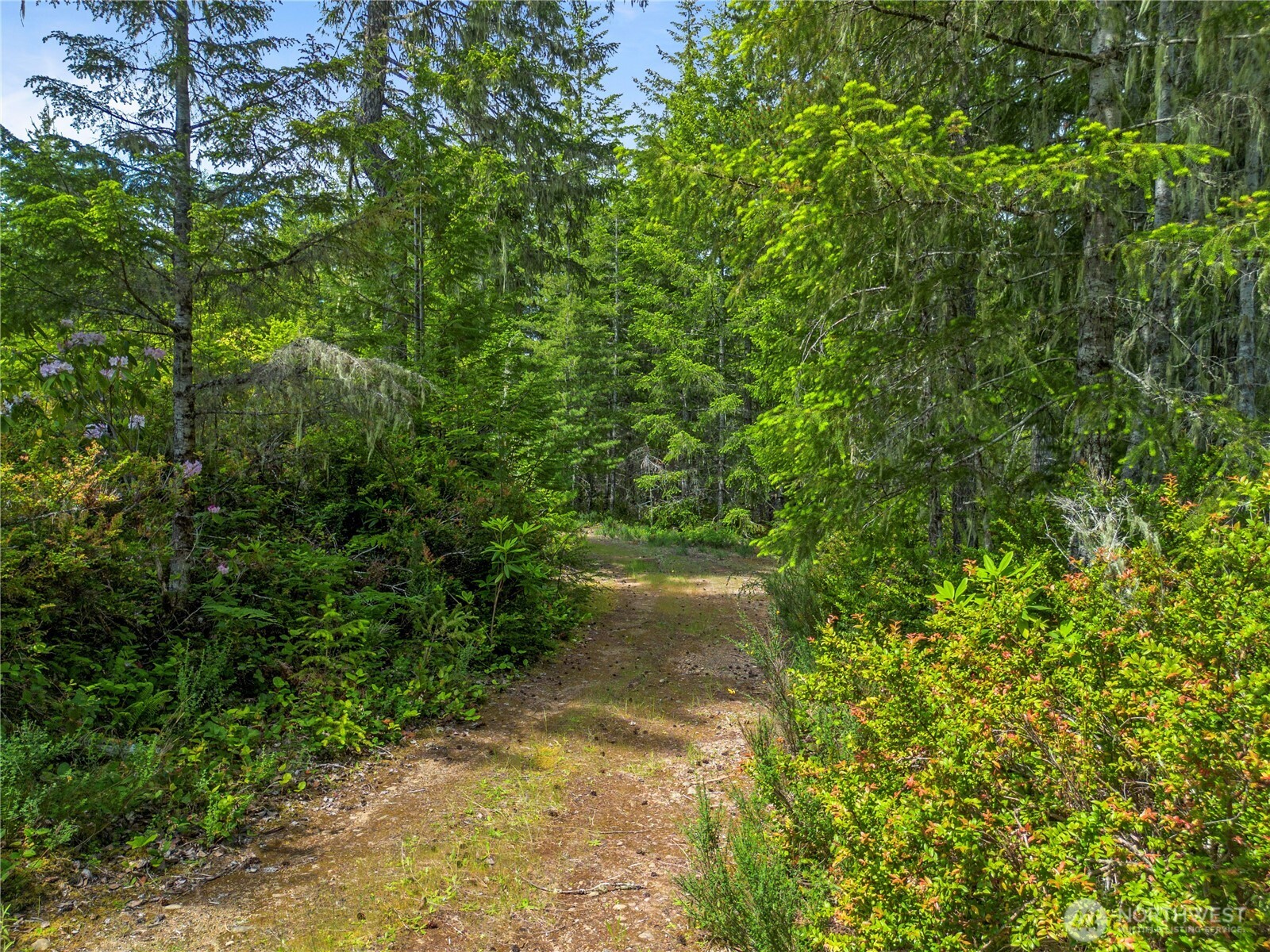 905 Ne Tahuya Blacksmith Road Property Photo 13