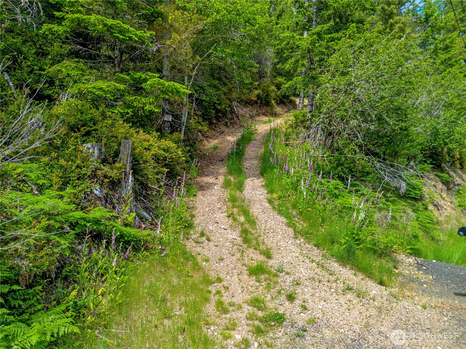 905 Ne Tahuya Blacksmith Road Property Photo 16