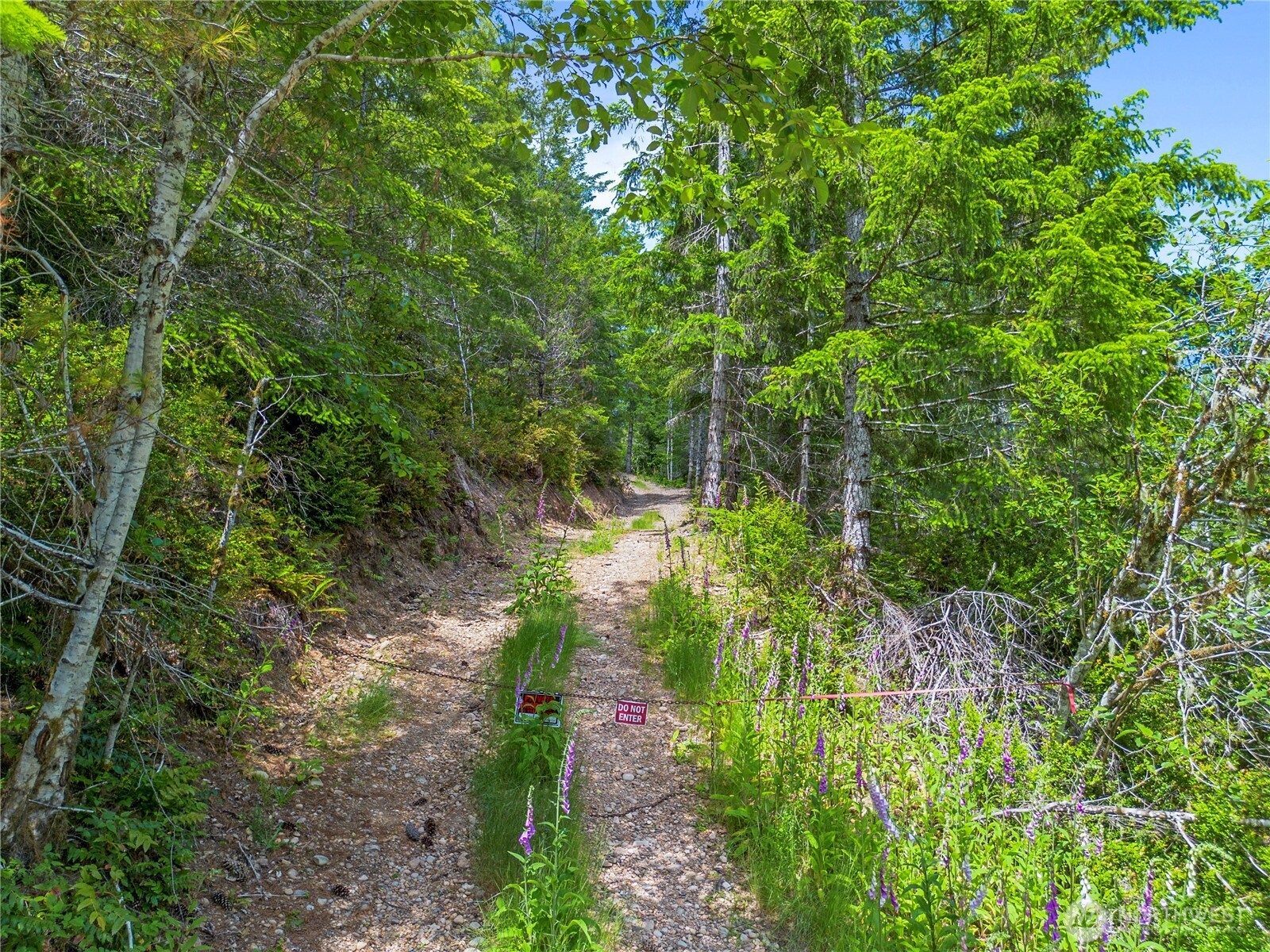 905 Ne Tahuya Blacksmith Road Property Photo 17