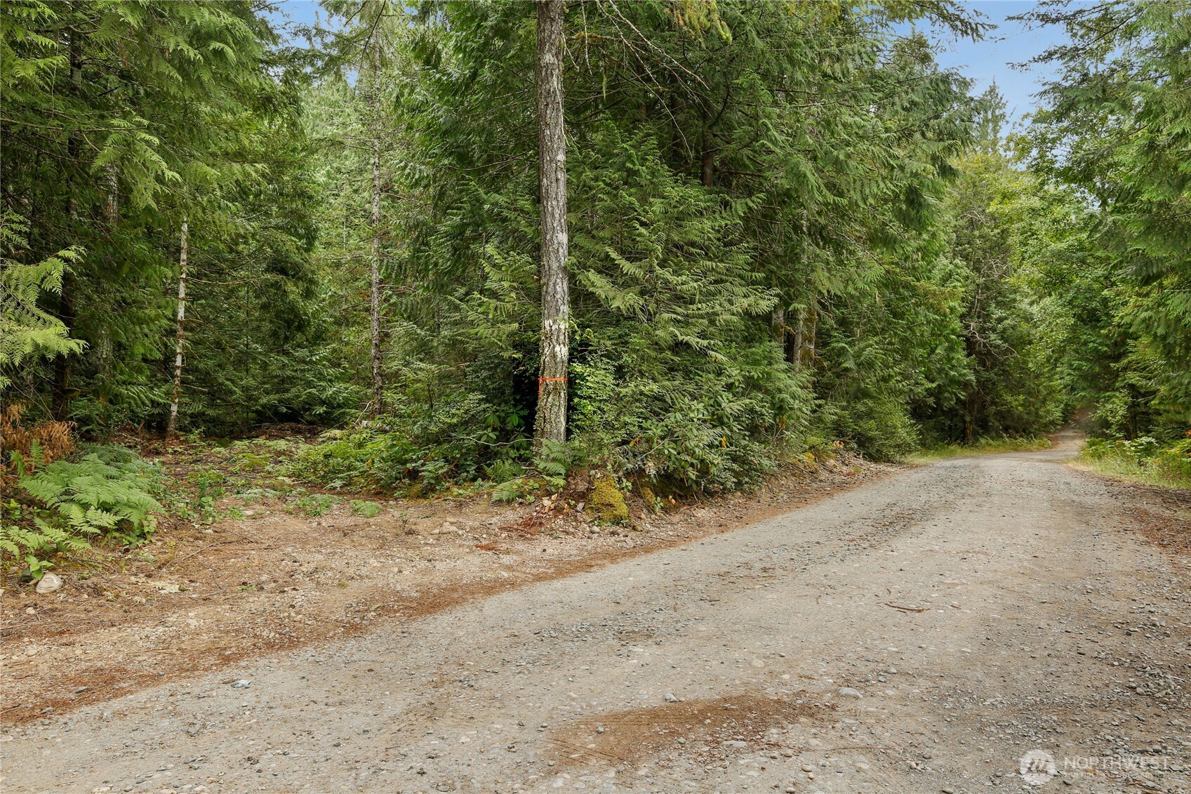 1171 W Camp Sundown Road Property Photo 3