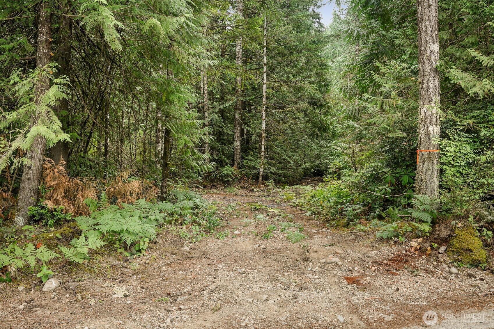 1171 W Camp Sundown Road Property Photo 4