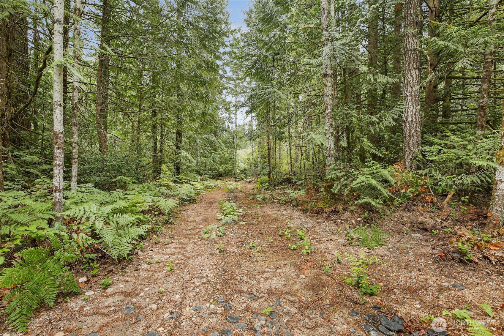 1171 W Camp Sundown Road Property Photo 5
