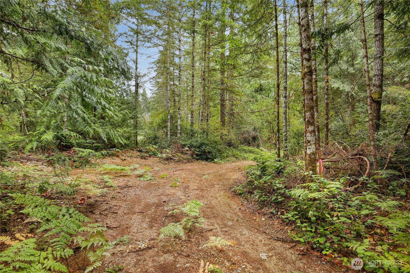 1171 W Camp Sundown Road Property Photo 6