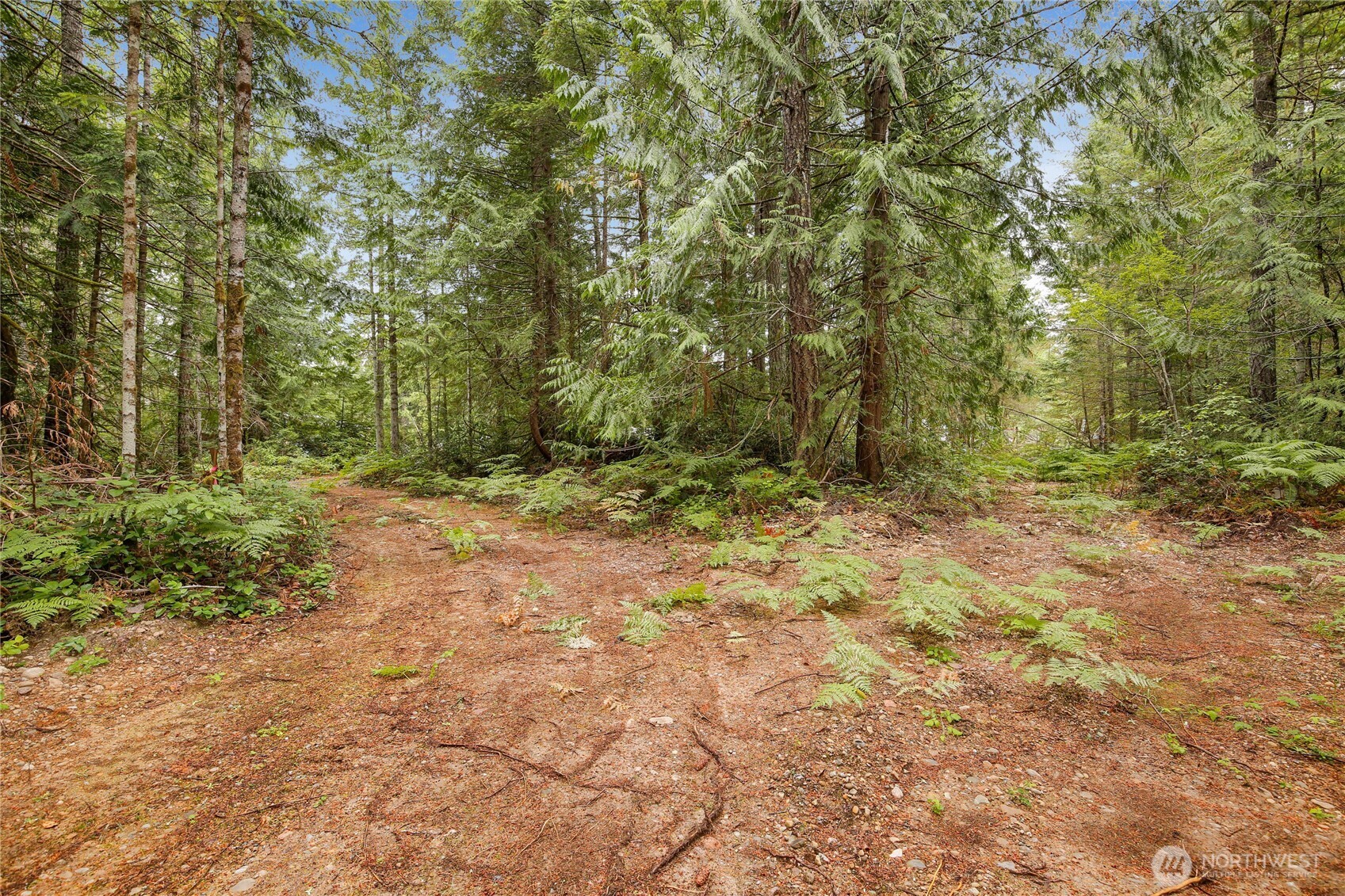 1171 W Camp Sundown Road Property Photo 7