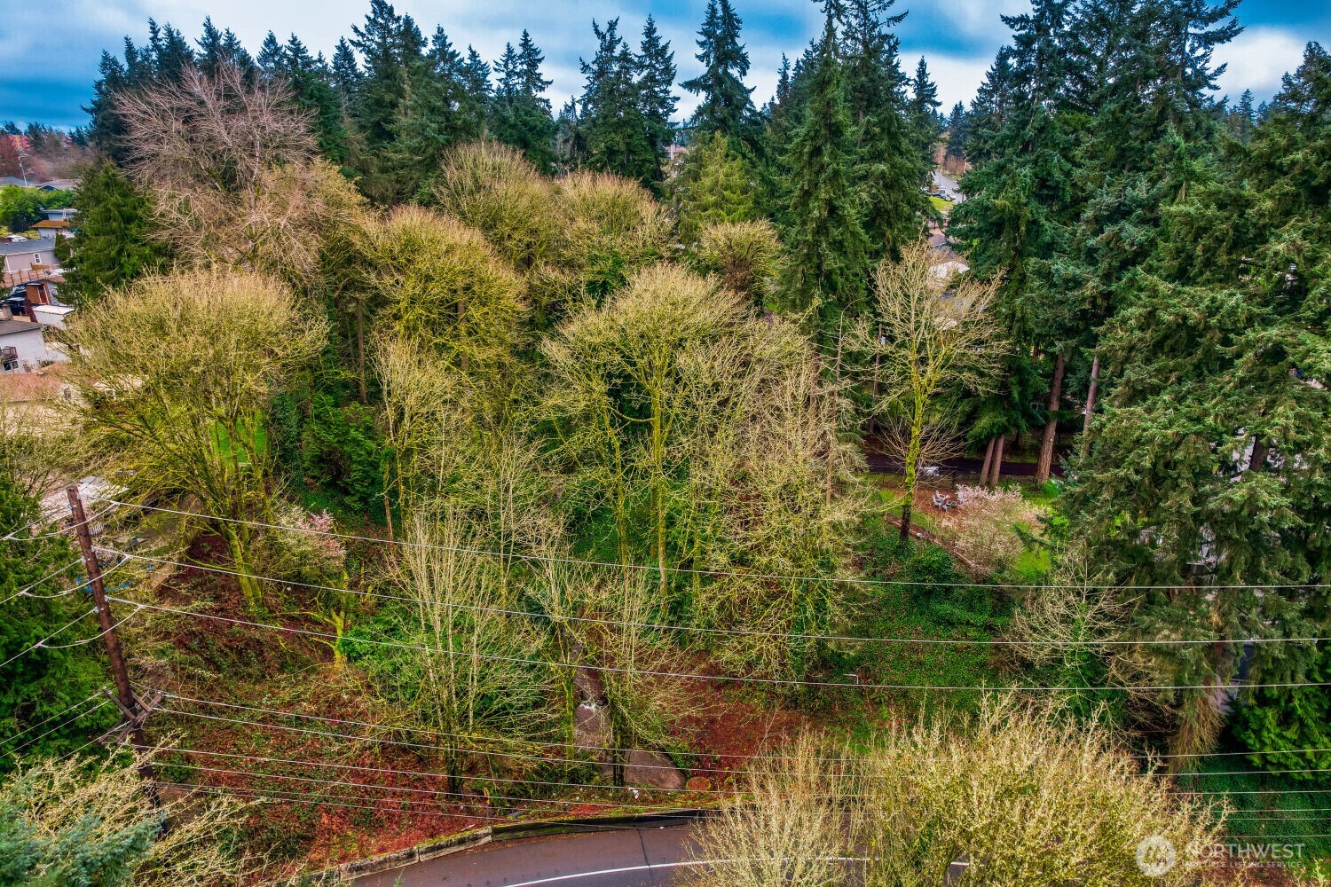 0 S Dash Point Road Property Photo 3