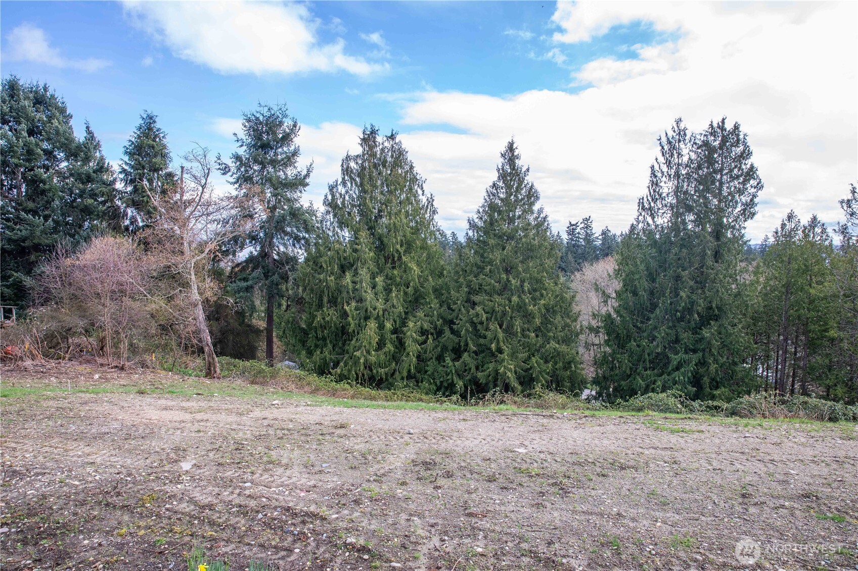 0 Lot 7 Hinman Drive Property Photo 8