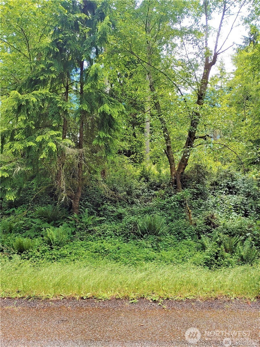 11909 11911 Country Club Drive Property Photo 1