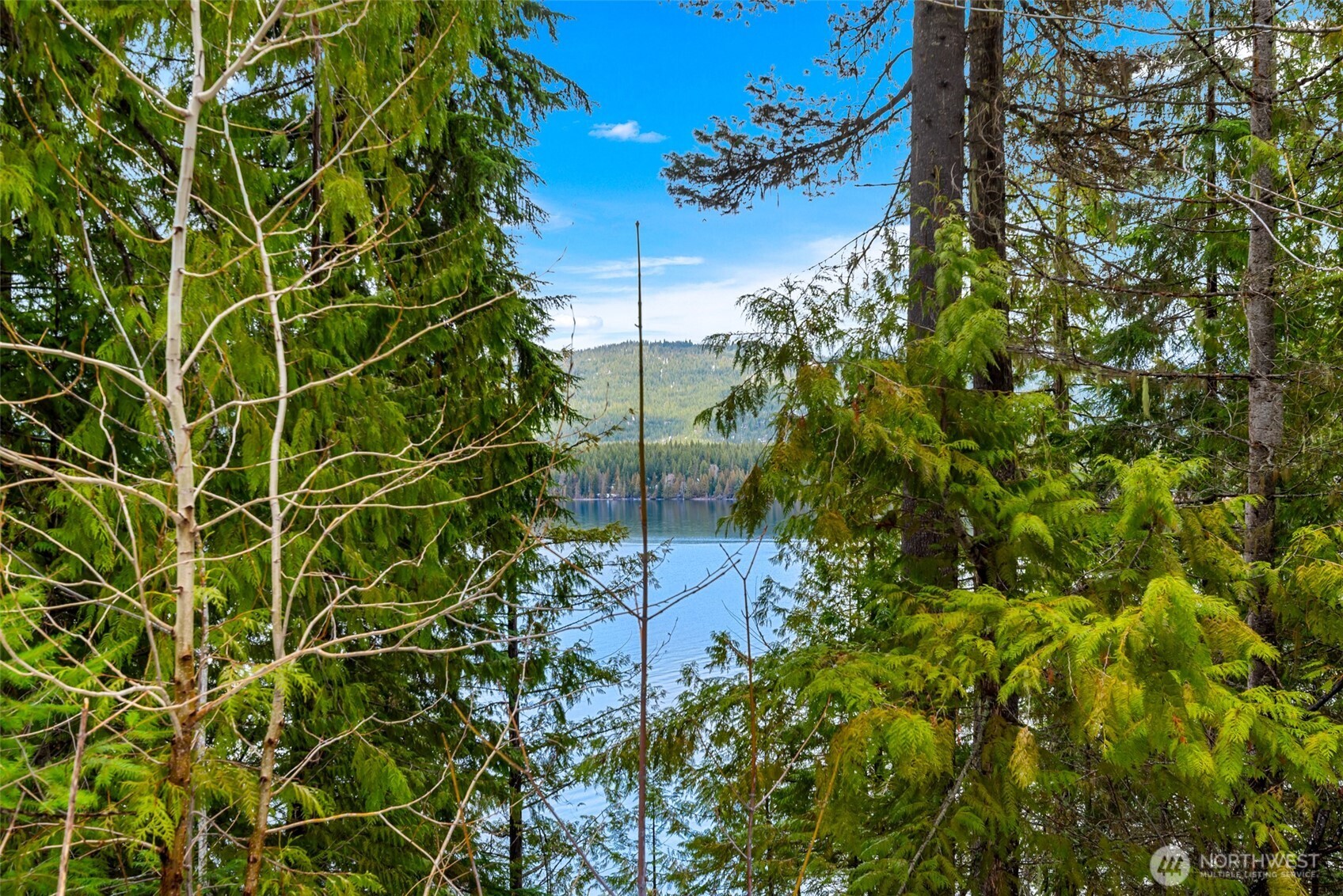 0 Cedar Brae Lot 87 Property Photo 6