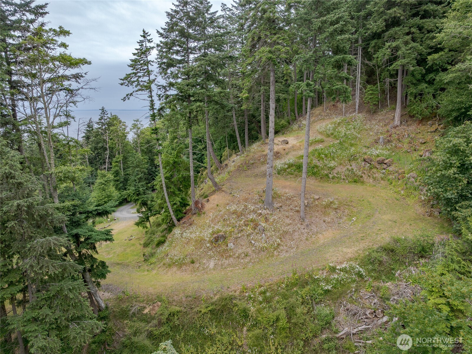 540 Wright Road Property Photo 12