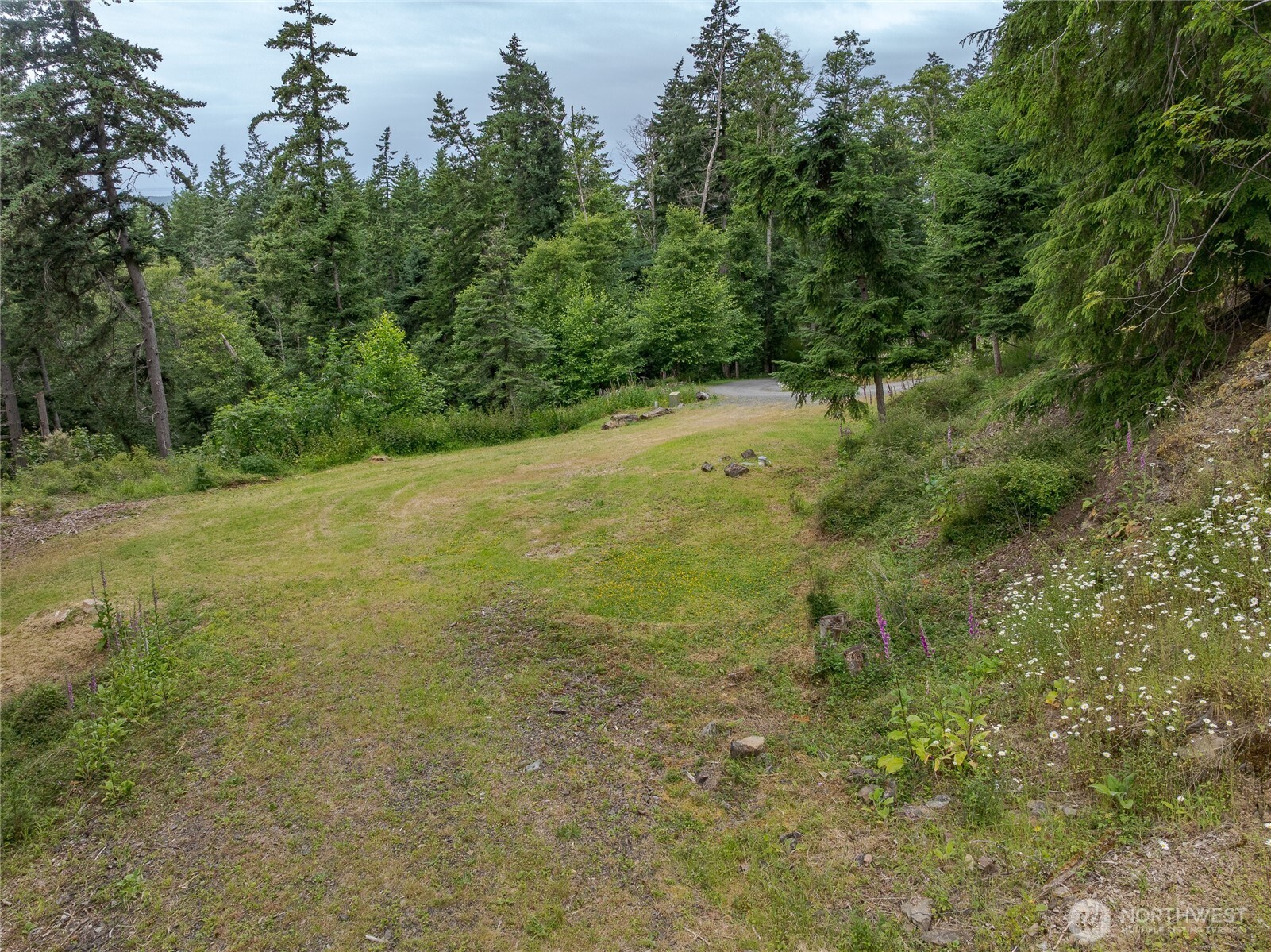 540 Wright Road Property Photo 13