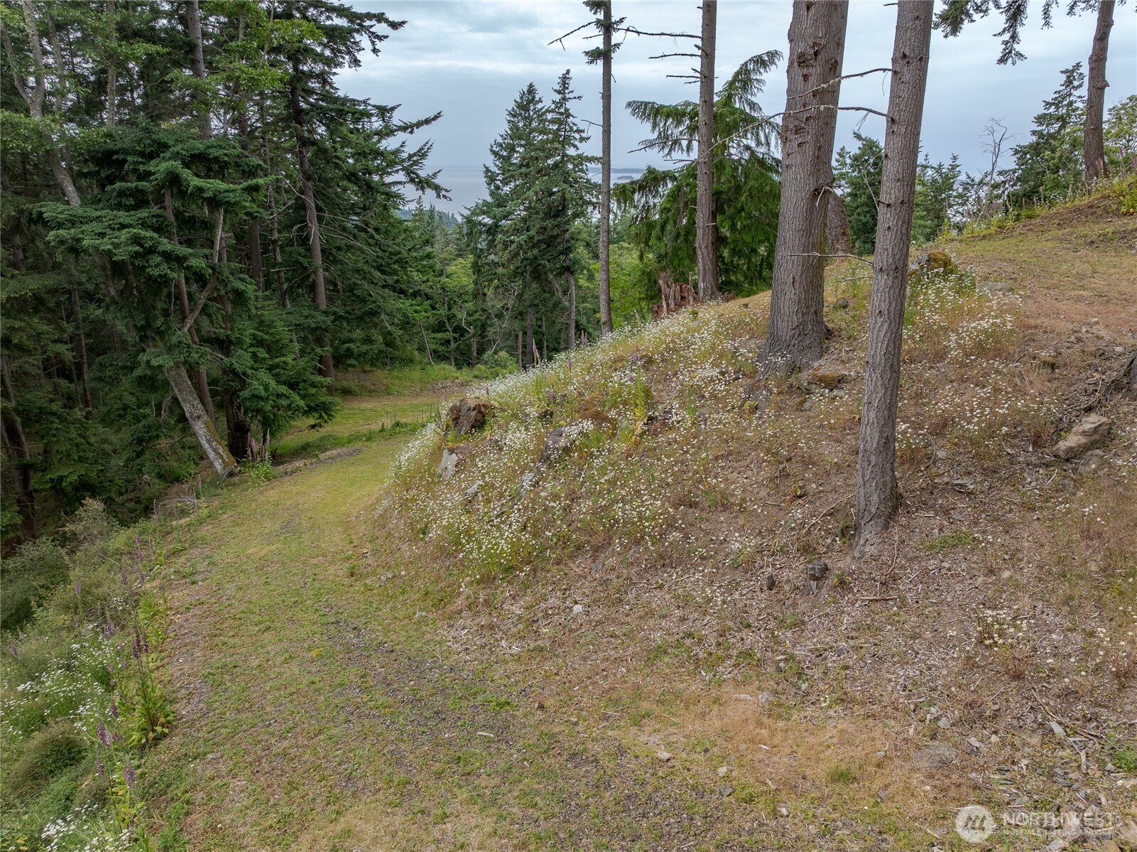 540 Wright Road Property Photo 14