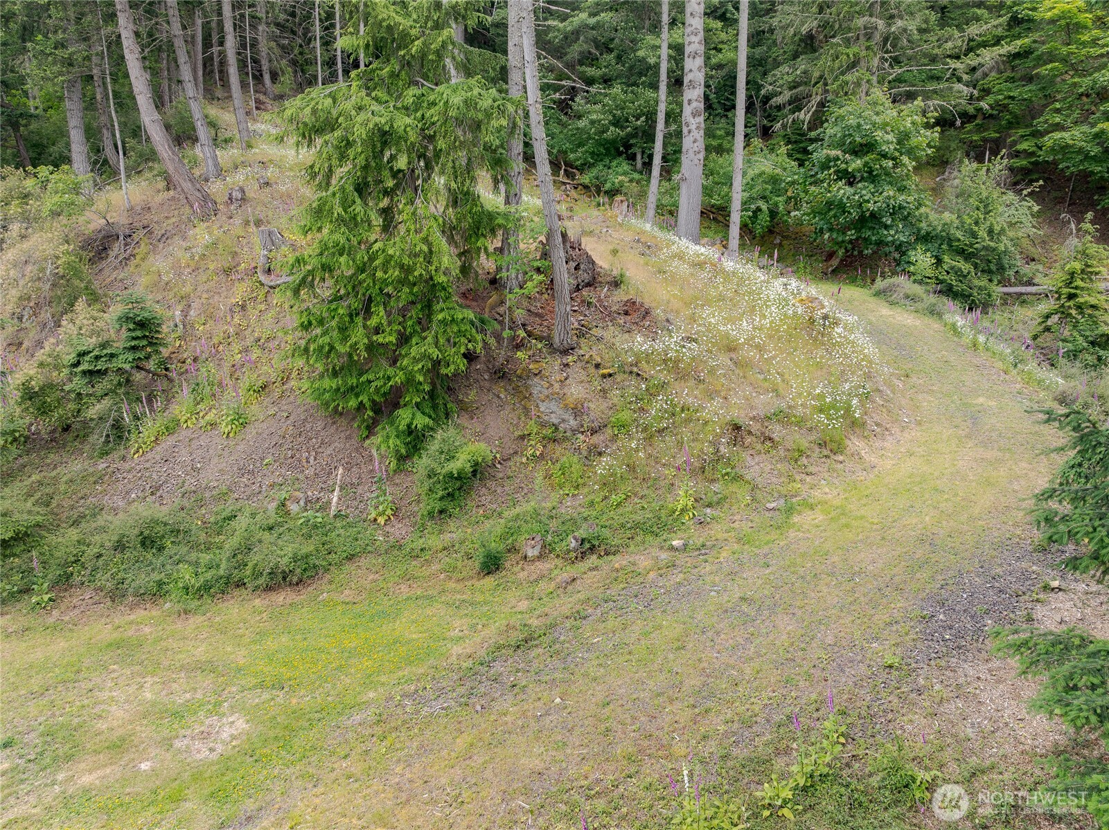 540 Wright Road Property Photo 15