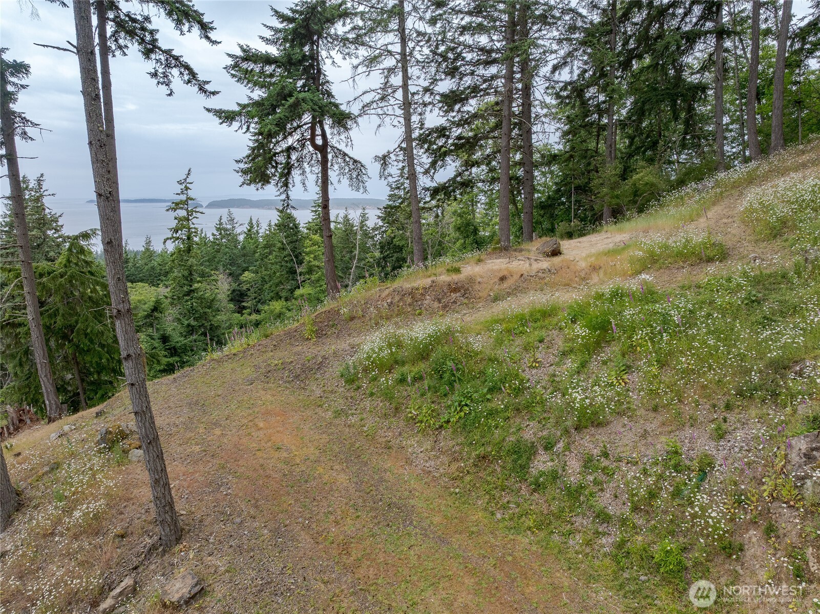 540 Wright Road Property Photo 16